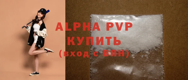 спиды Пересвет