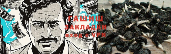 круглые Абаза