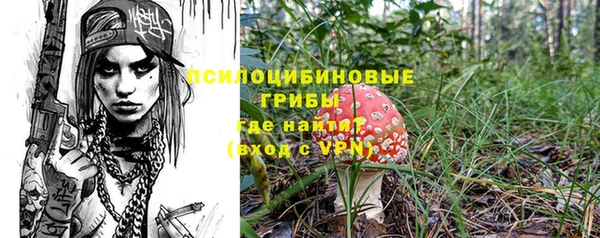 прущие крисы Переславль-Залесский