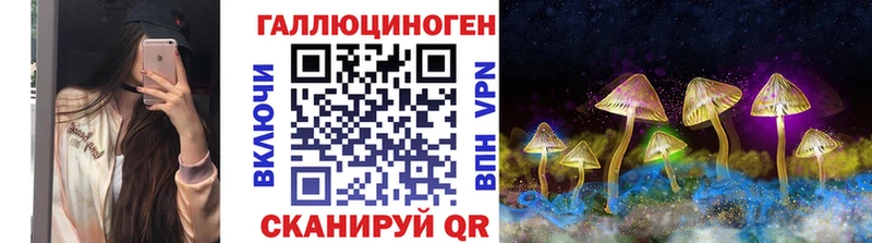 Псилоцибиновые грибы прущие грибы  Полярный 